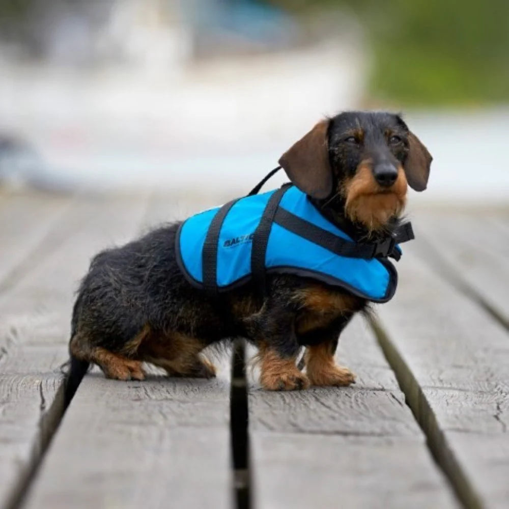 Baltic Blue Pet Life Jacket - Small