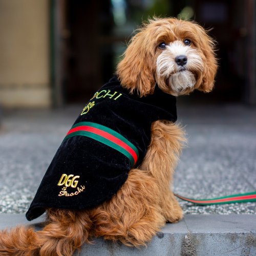 DGG Fashionista Poochi Dog Coat - Medium